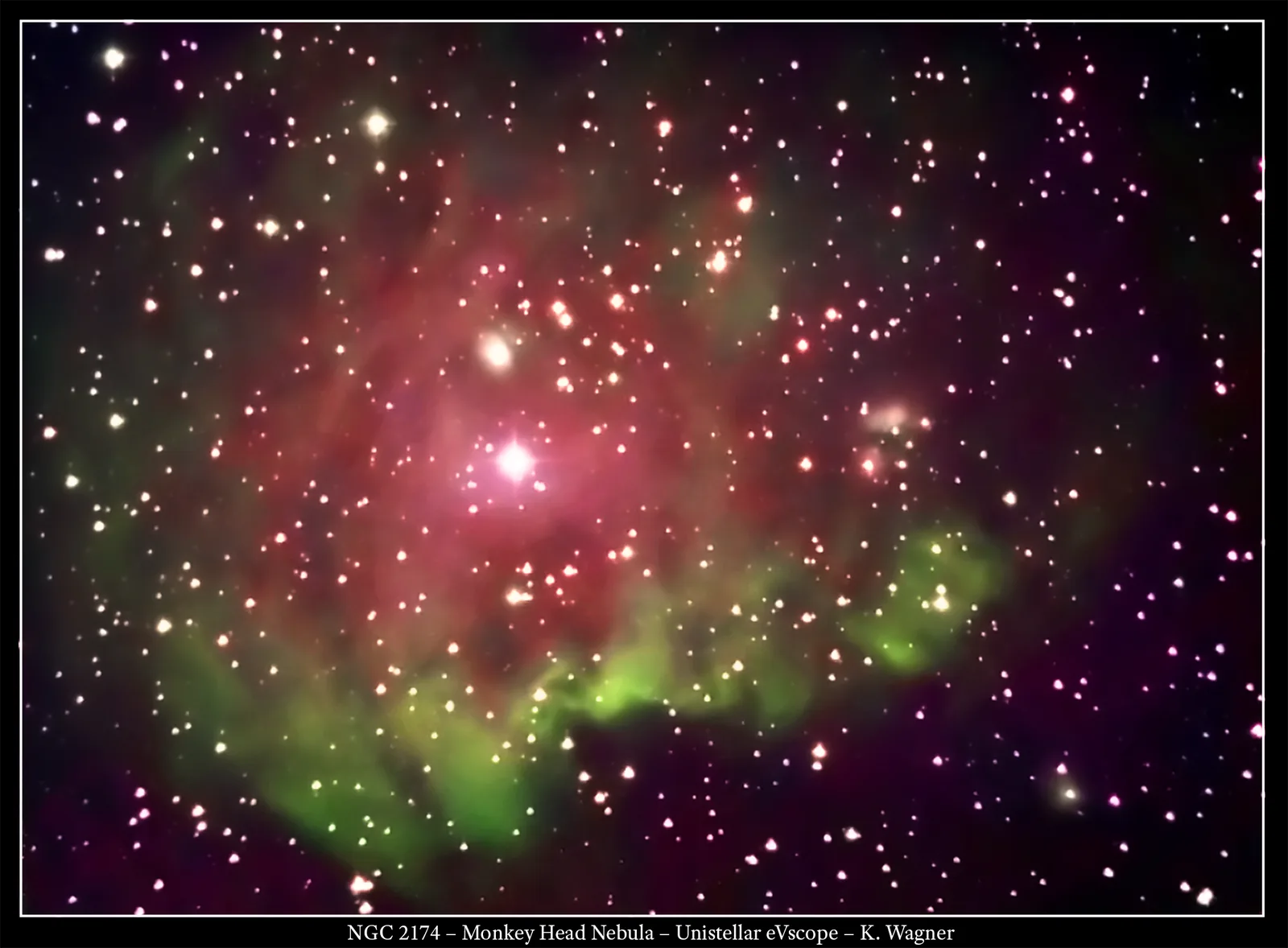 Monkey Head Nebula